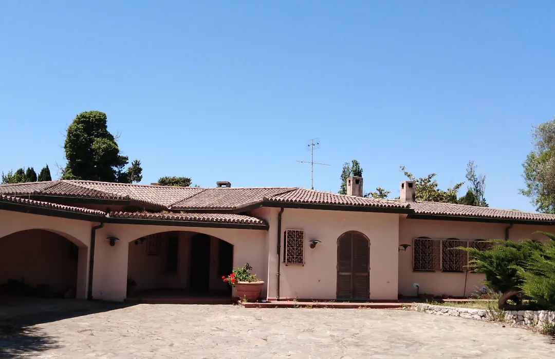 Town & Country Guest House B&B-1